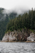 Coastal Cliff and Forest