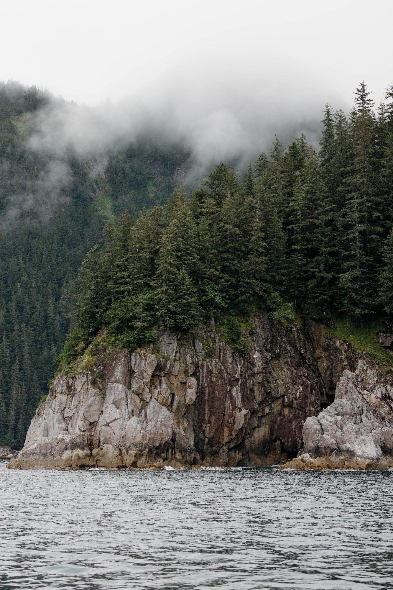 Coastal Cliff and Forest