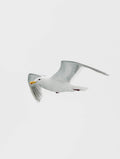 Gull in Flight
