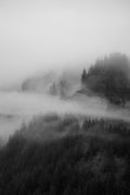 Misty Forest B&W V
