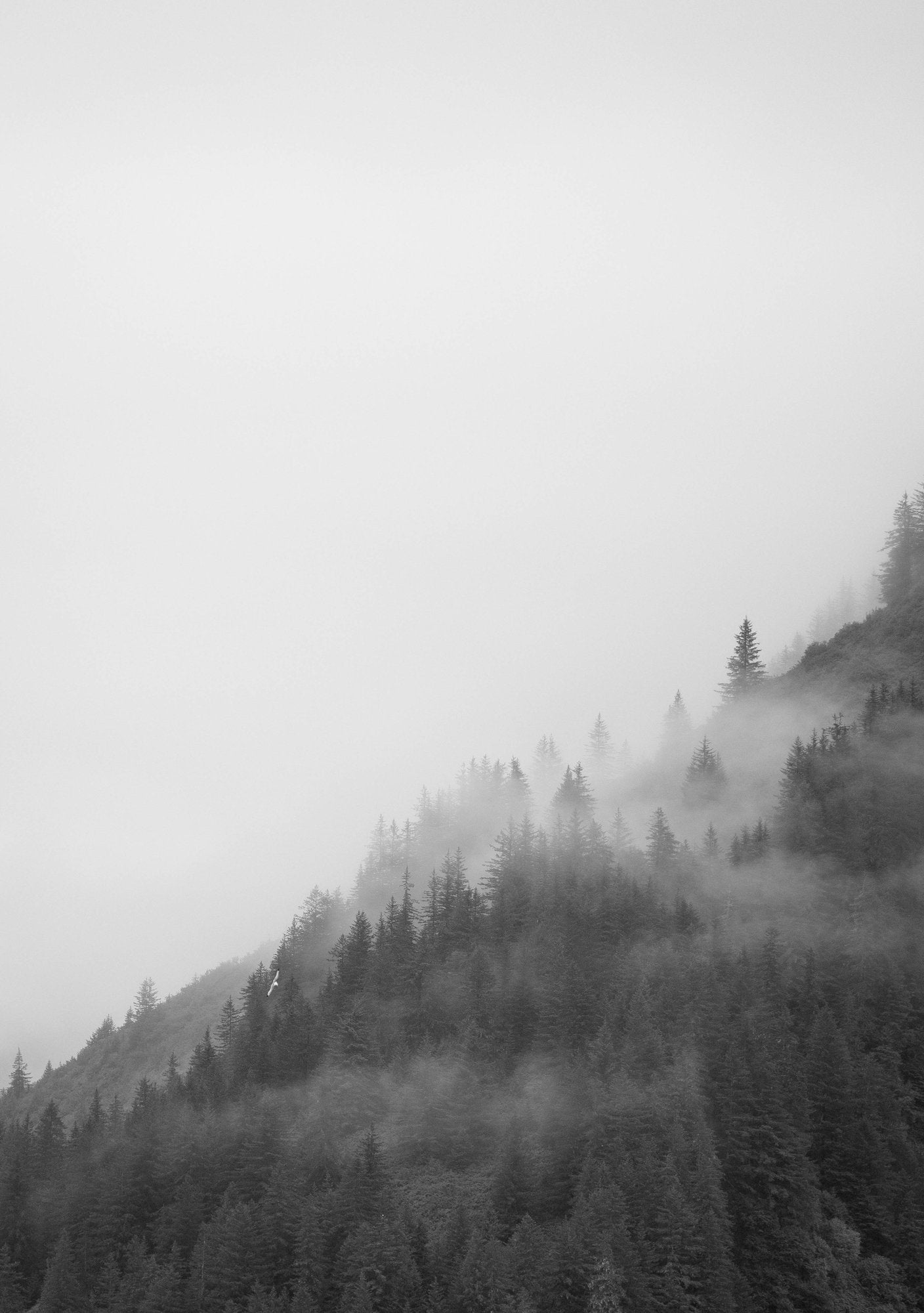 Misty Mountainside B&W II