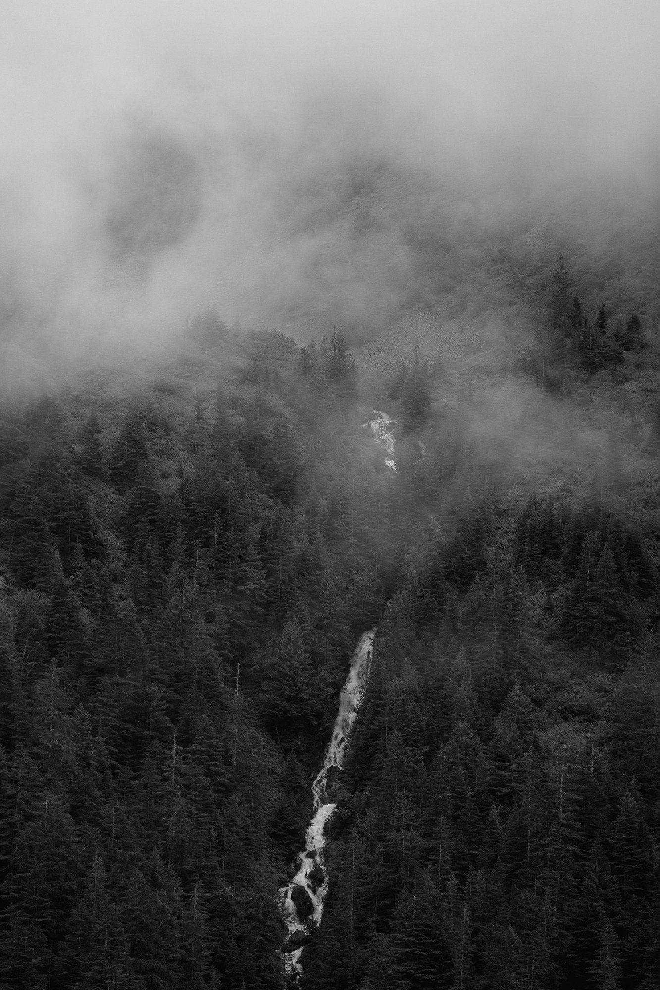Misty Mountainside B&W III