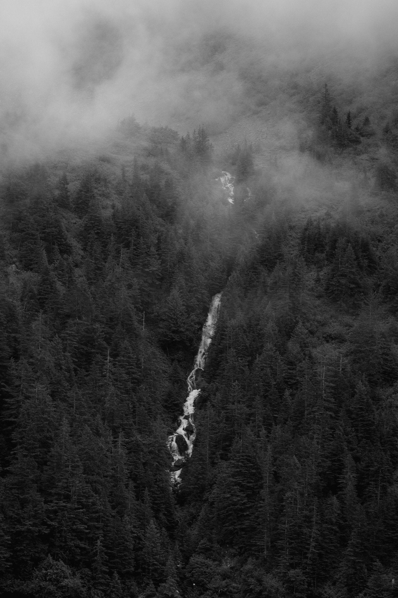 Misty Mountainside B&W IV
