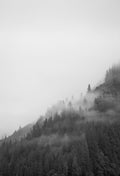 Misty Mountainside B&W