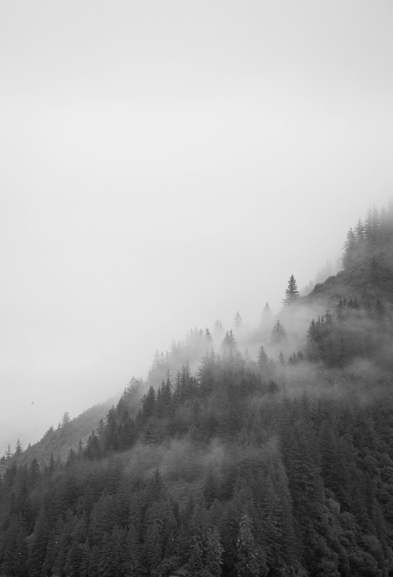 Misty Mountainside B&W