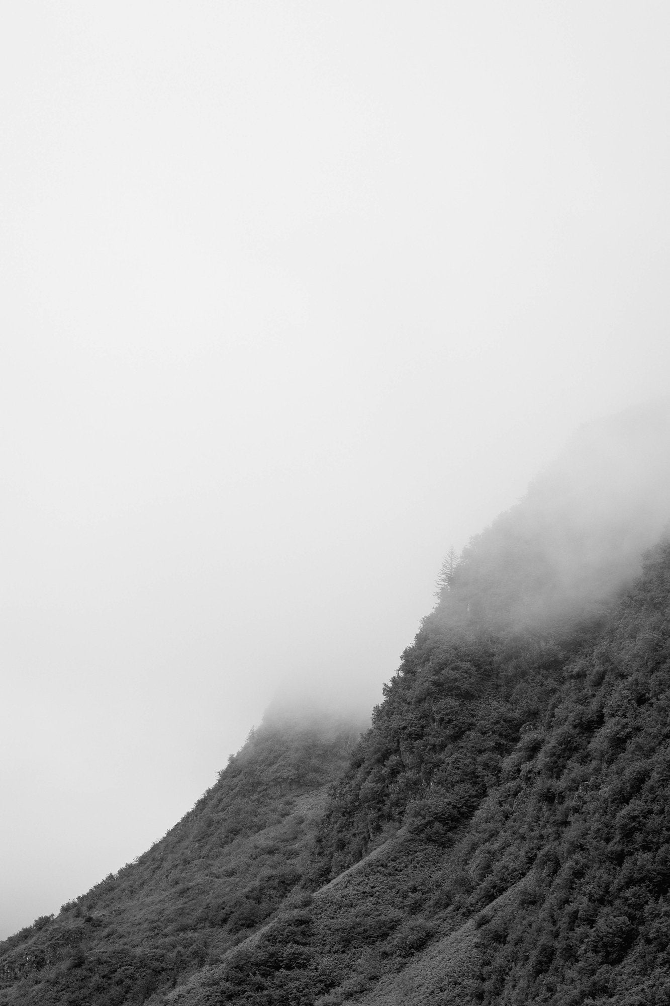 Mountain Ridge B&W