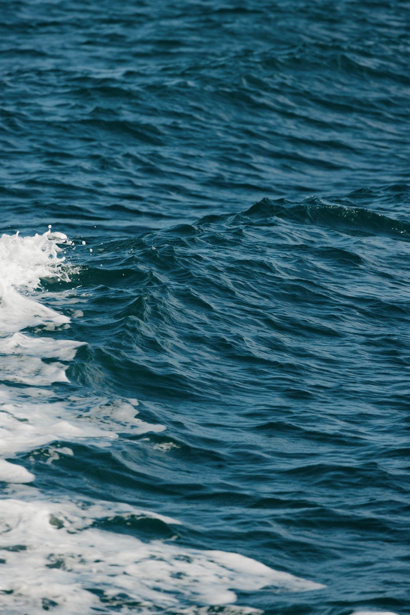 Ocean Waves, Kenai