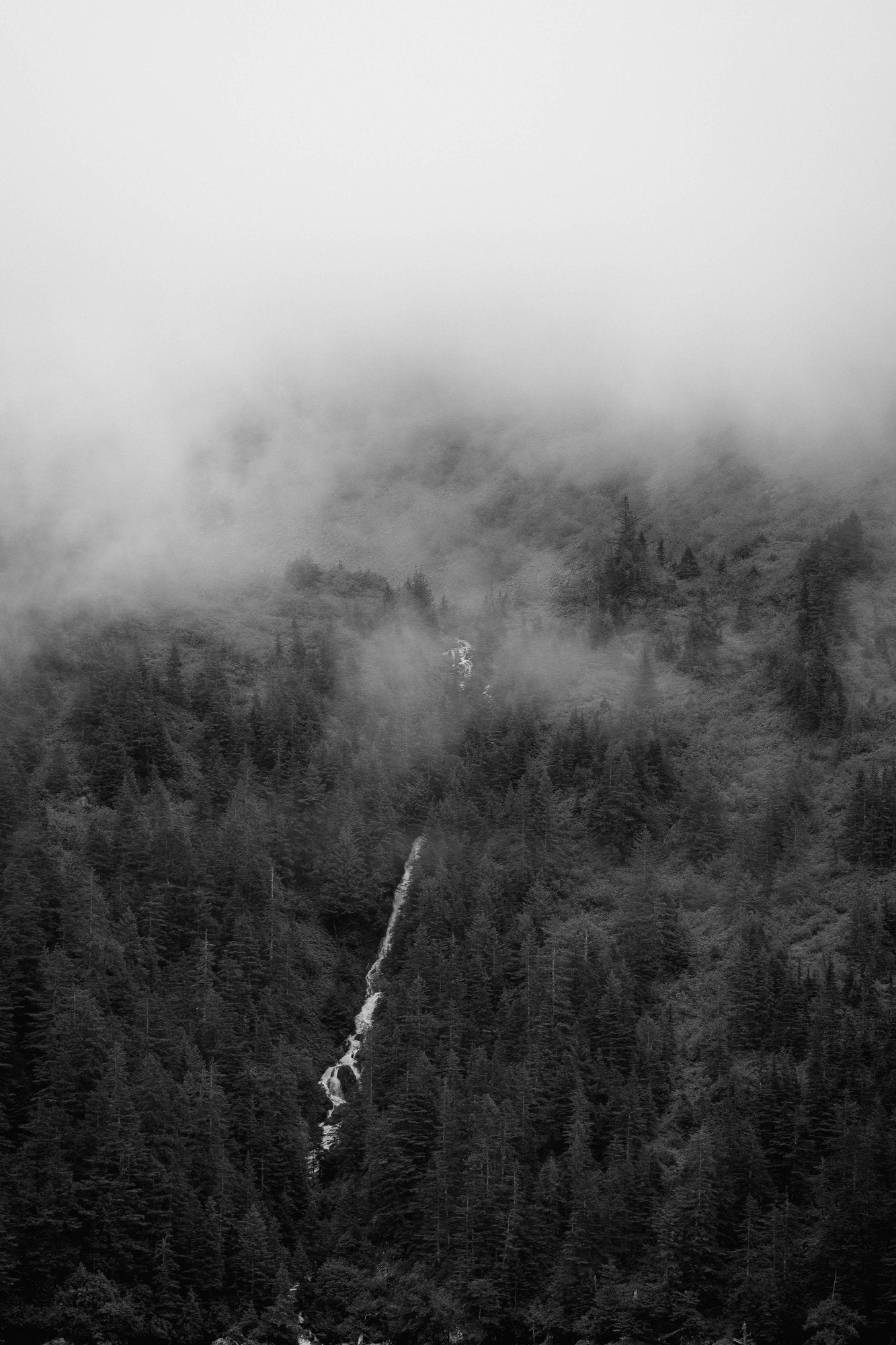 Waterfall on Mountain B&W II